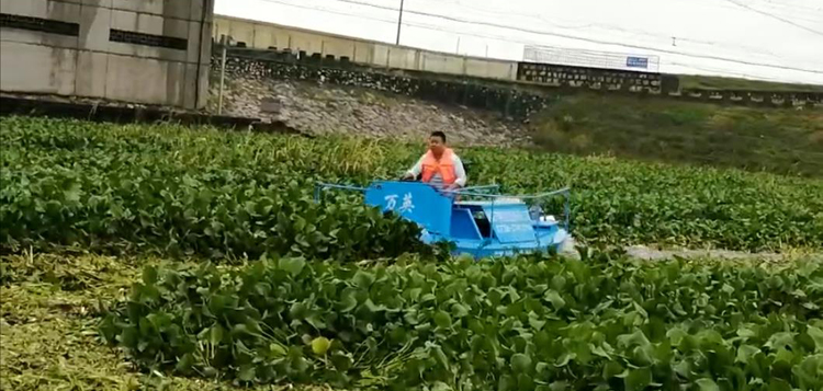 小型碎草船(图1)