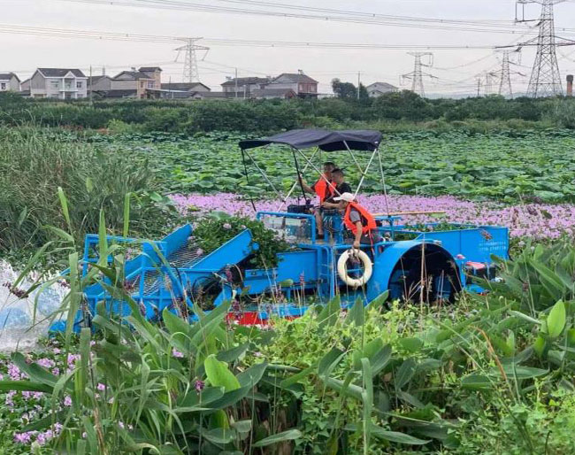 CS0603全自动割草船
