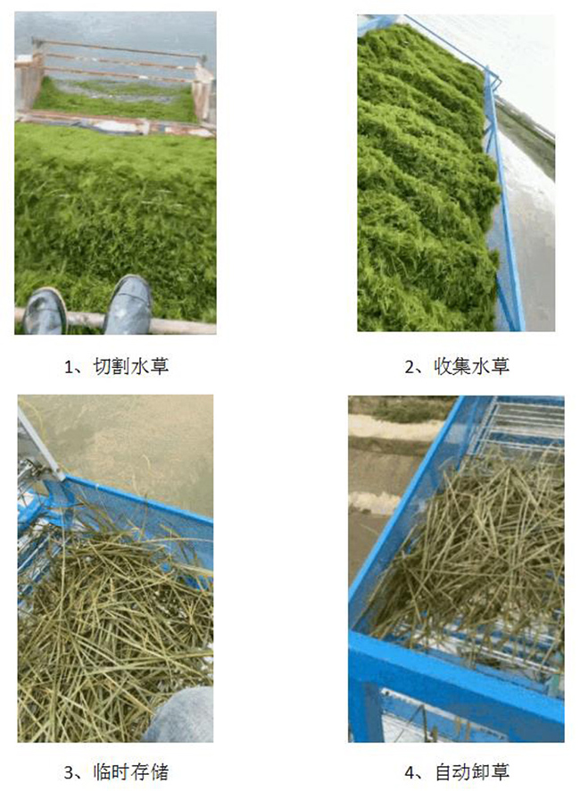 泡沫收集（输送）船(图4)