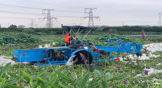 CS0603全自动割草船(图2)