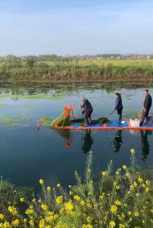 河道.png